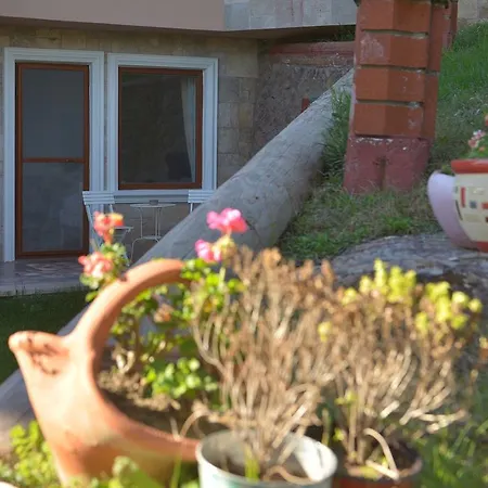 호텔 아이네아스 Altınoluk