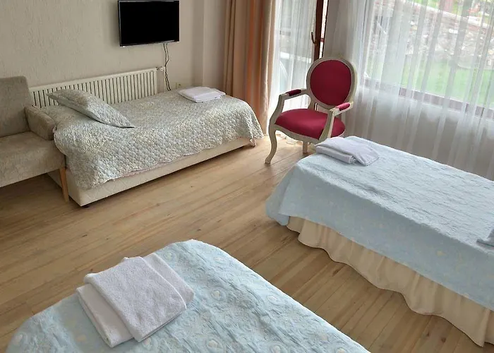 Aeneas 2* Altınoluk