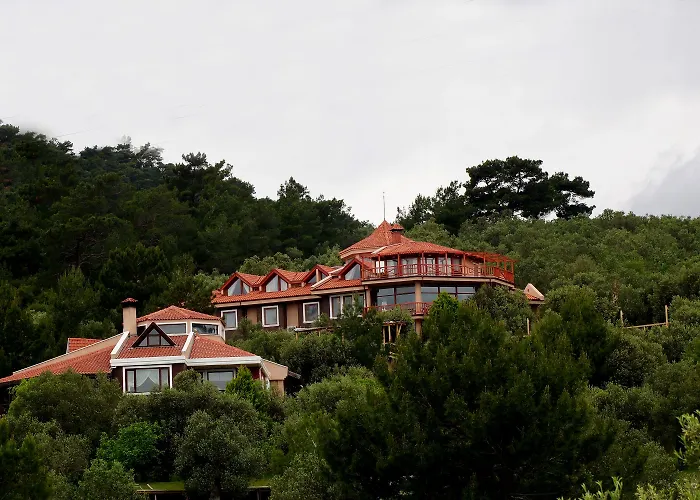 Aeneas 2* Altınoluk