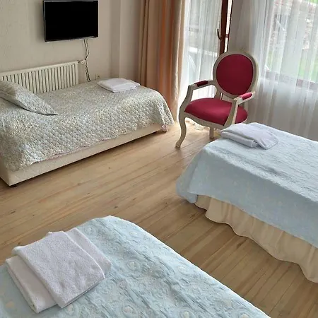 Aeneas 2* Altınoluk